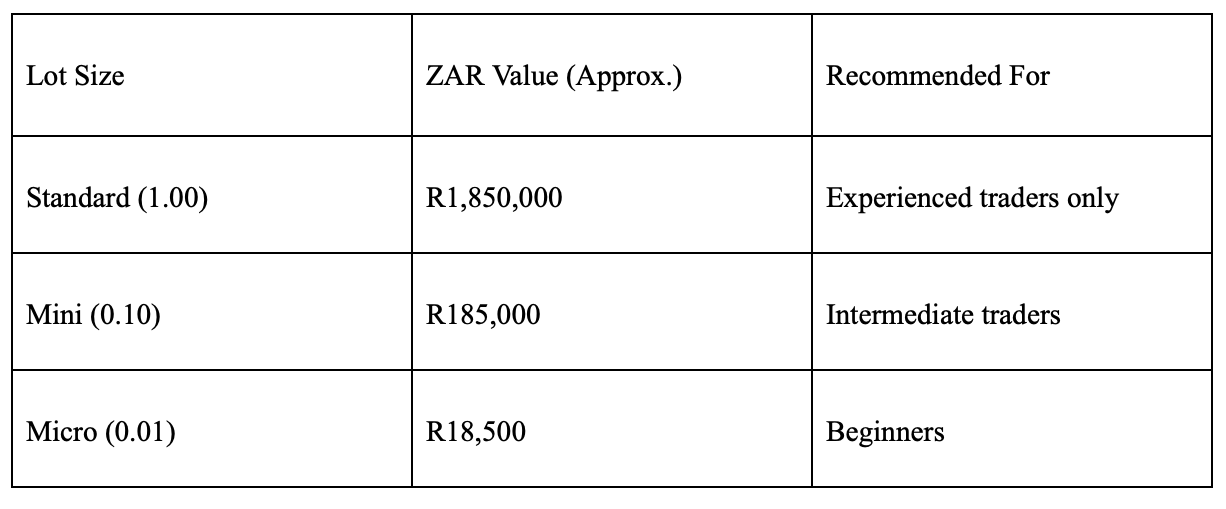 The South African Beginner's Manual to Forex Trading how to trade forex.