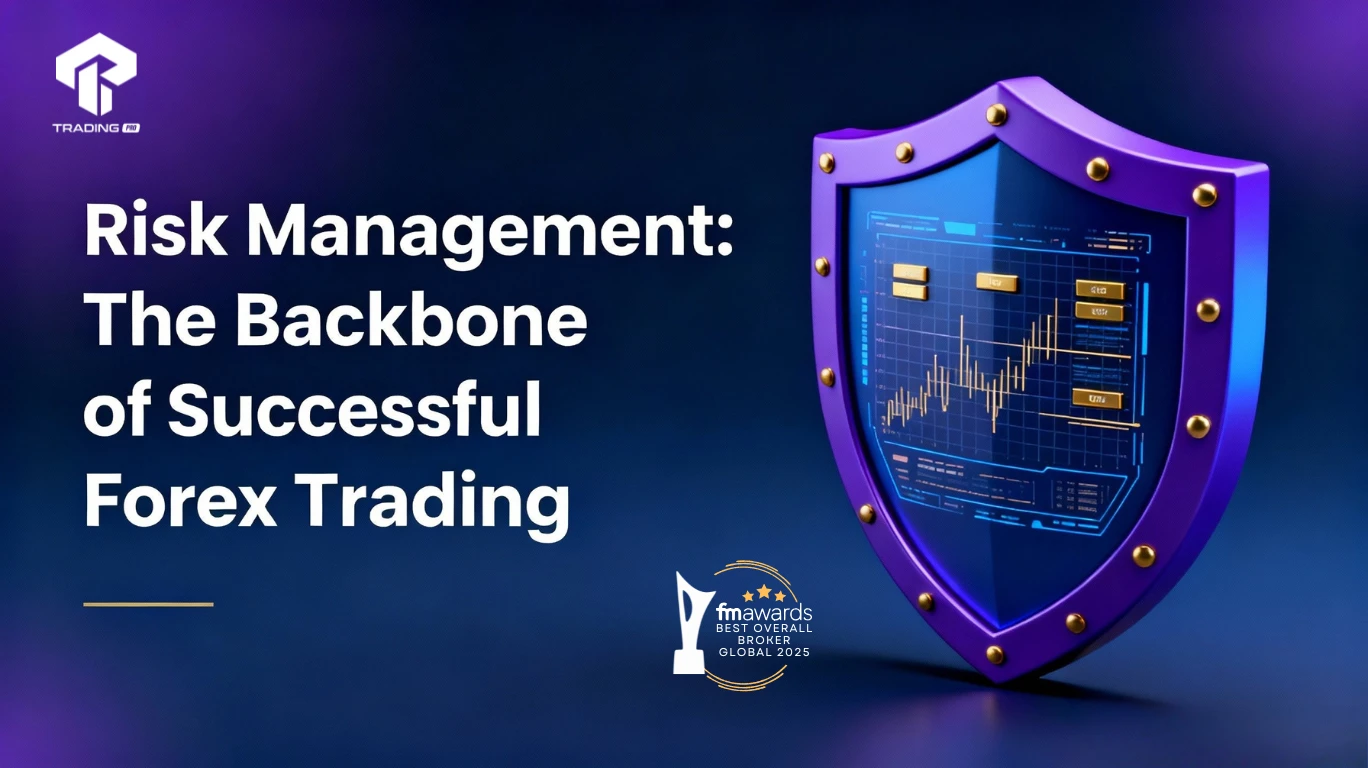 Risk Management in Forex Trading: The Key to Long-Term Success | TradingPRO